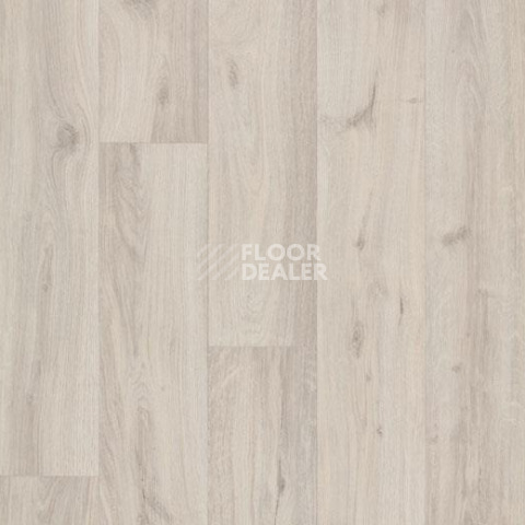 Линолеум Forbo Eternal Wood 10842 cream oak фото 1 | FLOORDEALER